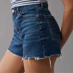 Women’s American Eagle Strigid Curvy Relaxed Jean Shorts 2